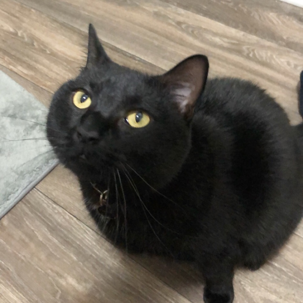 Meet your Posher, Emily